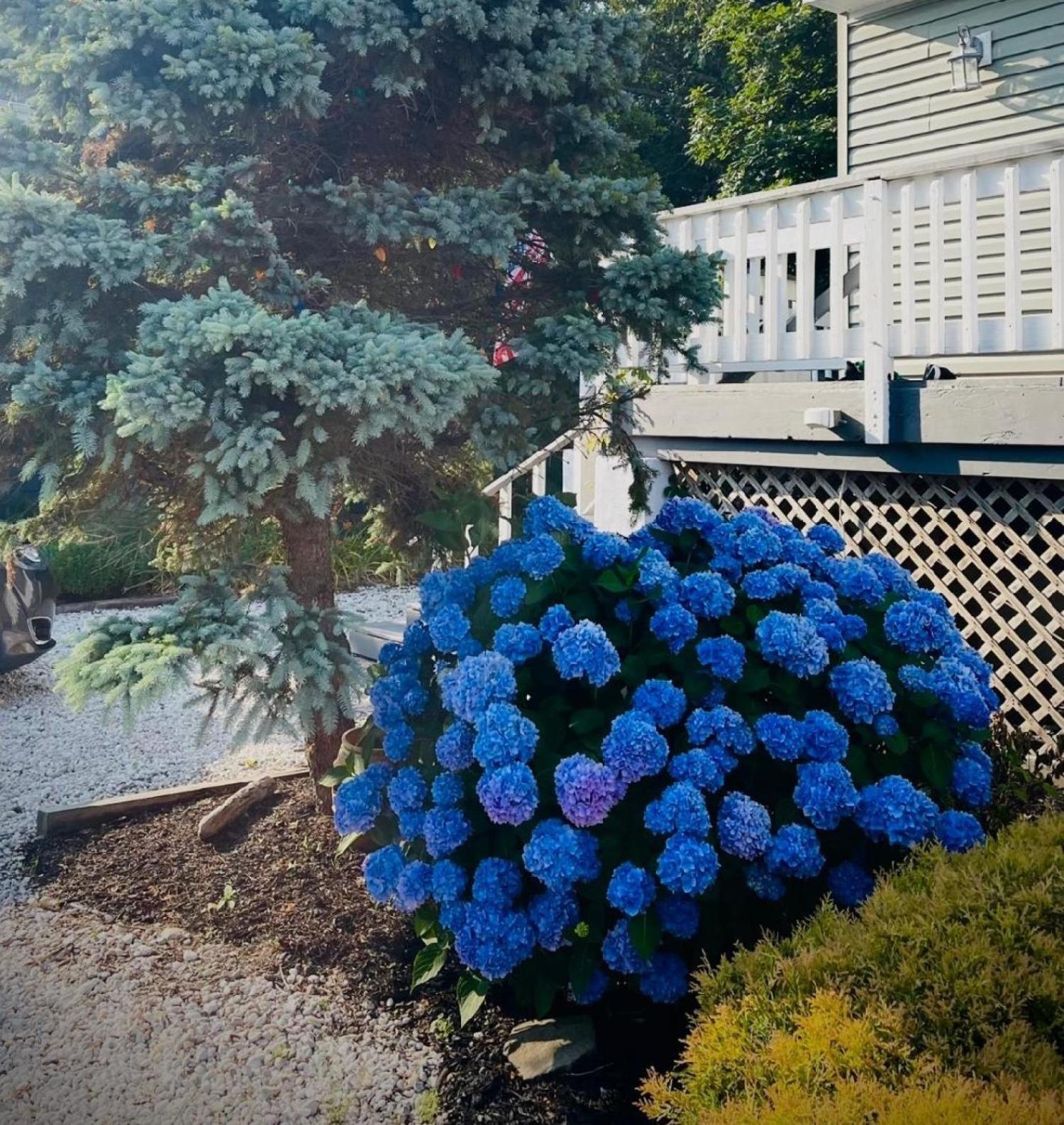 Cape May Beach - Beautiful Home W Secluded Beach Villas المظهر الخارجي الصورة